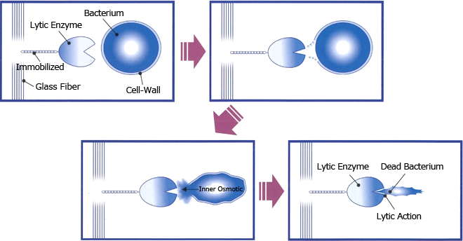 Bactericidal Air Filter Media