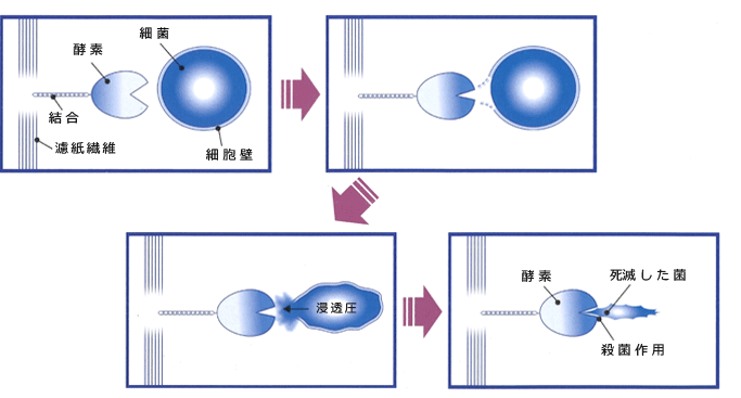 どうして二次汚染が防げるの？