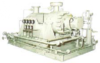 Shin Nippon Machinery
(Process Pumps and Steam Turbines)